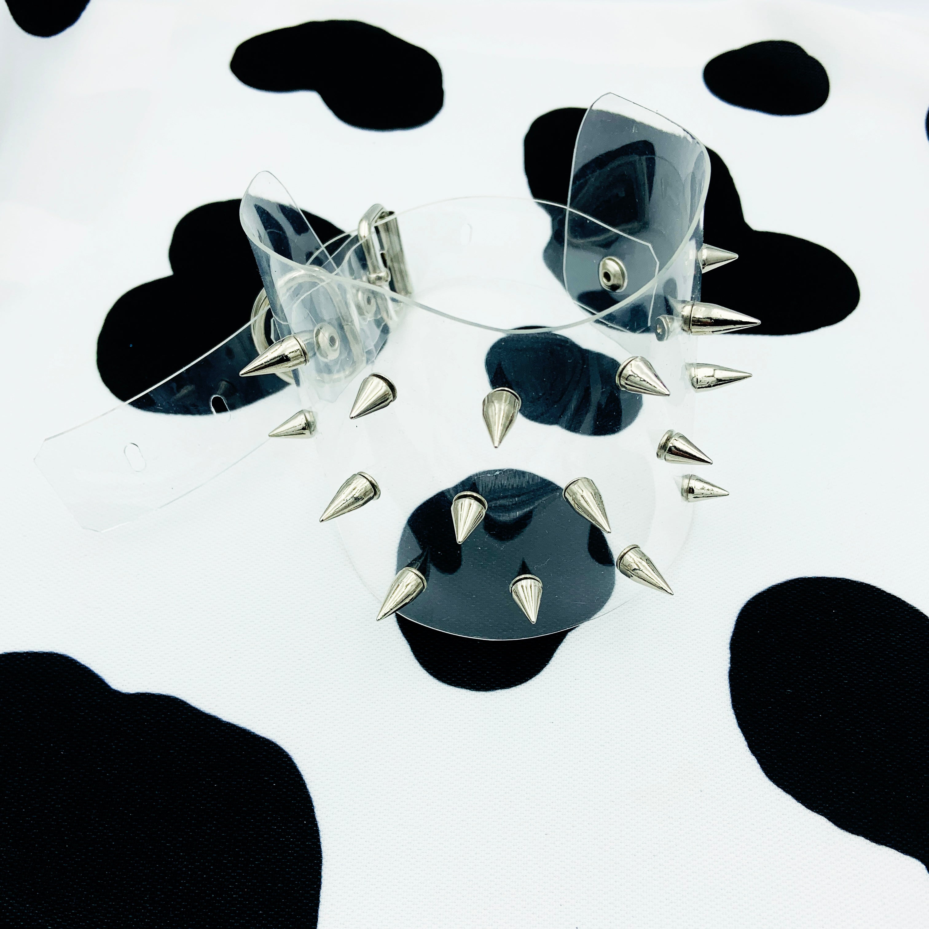 Collier de maintien pour porc-épic